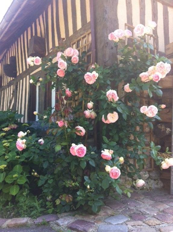 Bed and Breakfast A La Bergerie Honfleur Exteriér fotografie